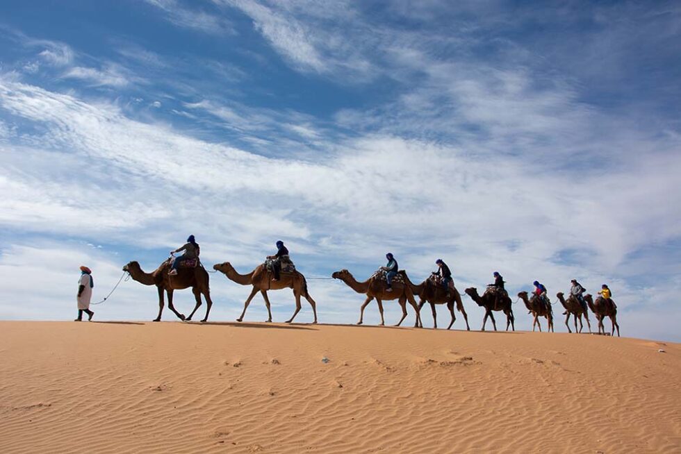 people riding camels on top of dune