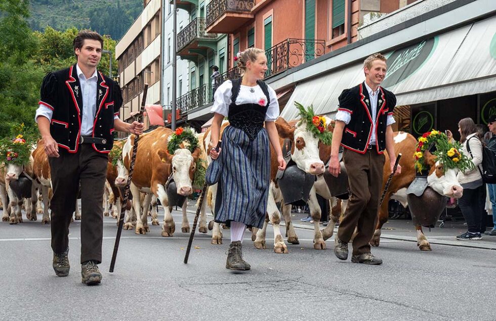 agricultural fair in Europe