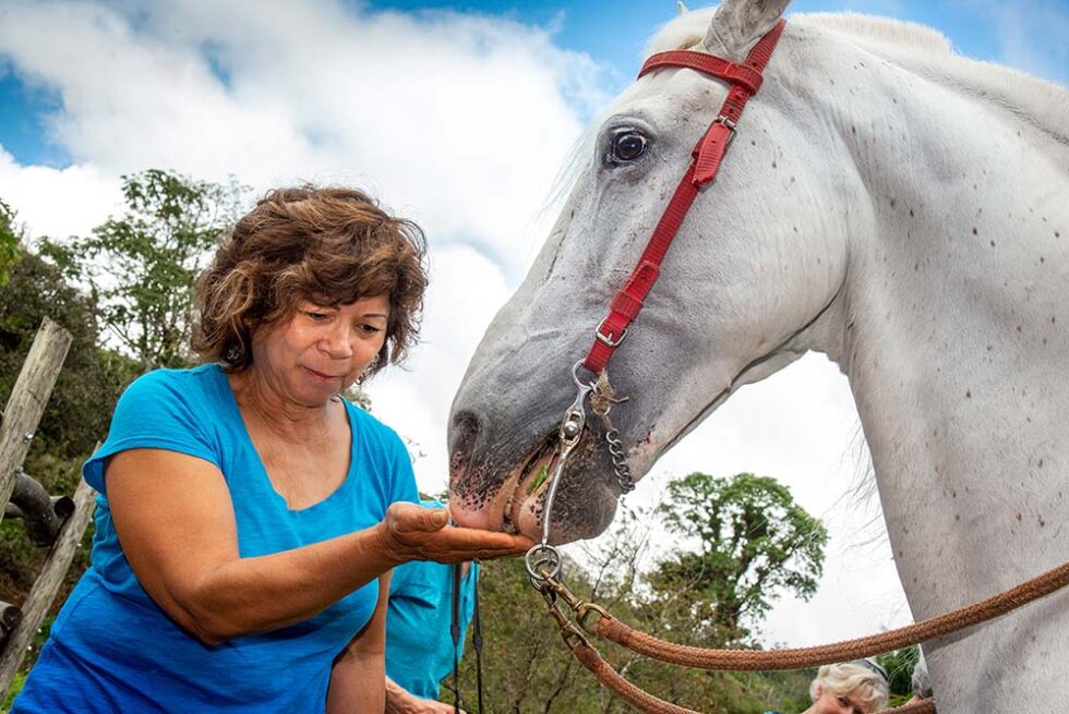 woman feeding a horse