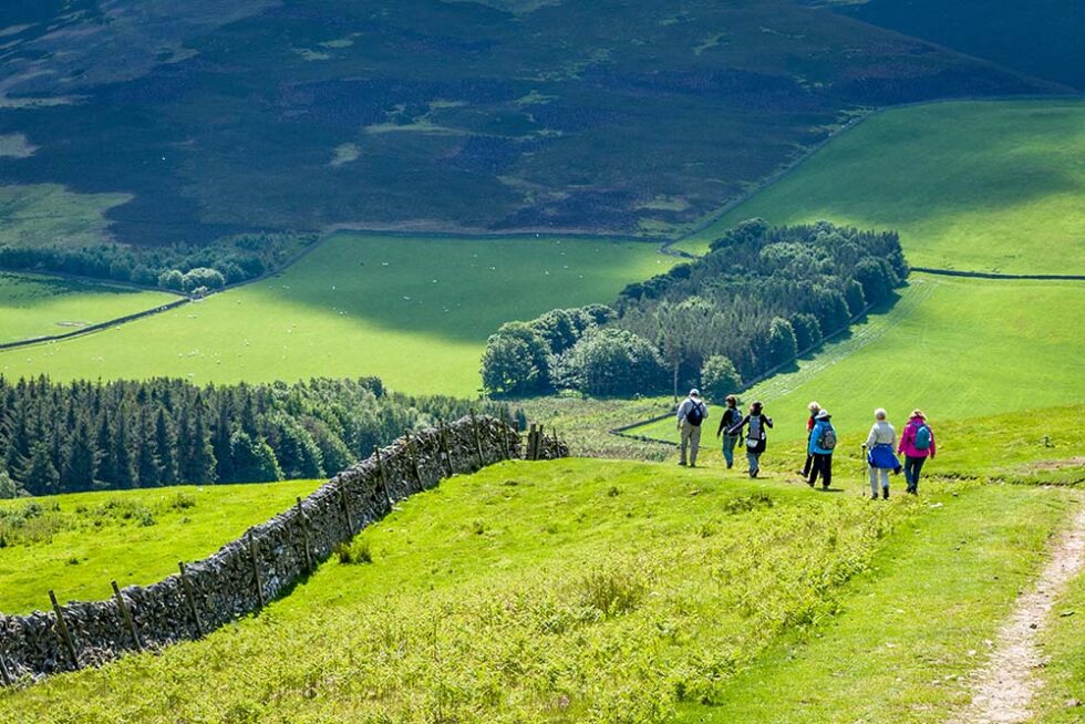 people hiking in a field
